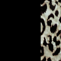 White serval